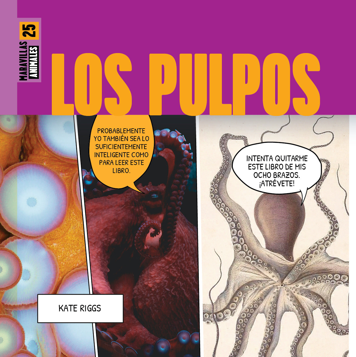 Octopus Wonders - Stunning Octopus Decor for Home & Office | Perfect for Marine Lovers, Aquarium Enthusiasts, and Unique Gift Ideas