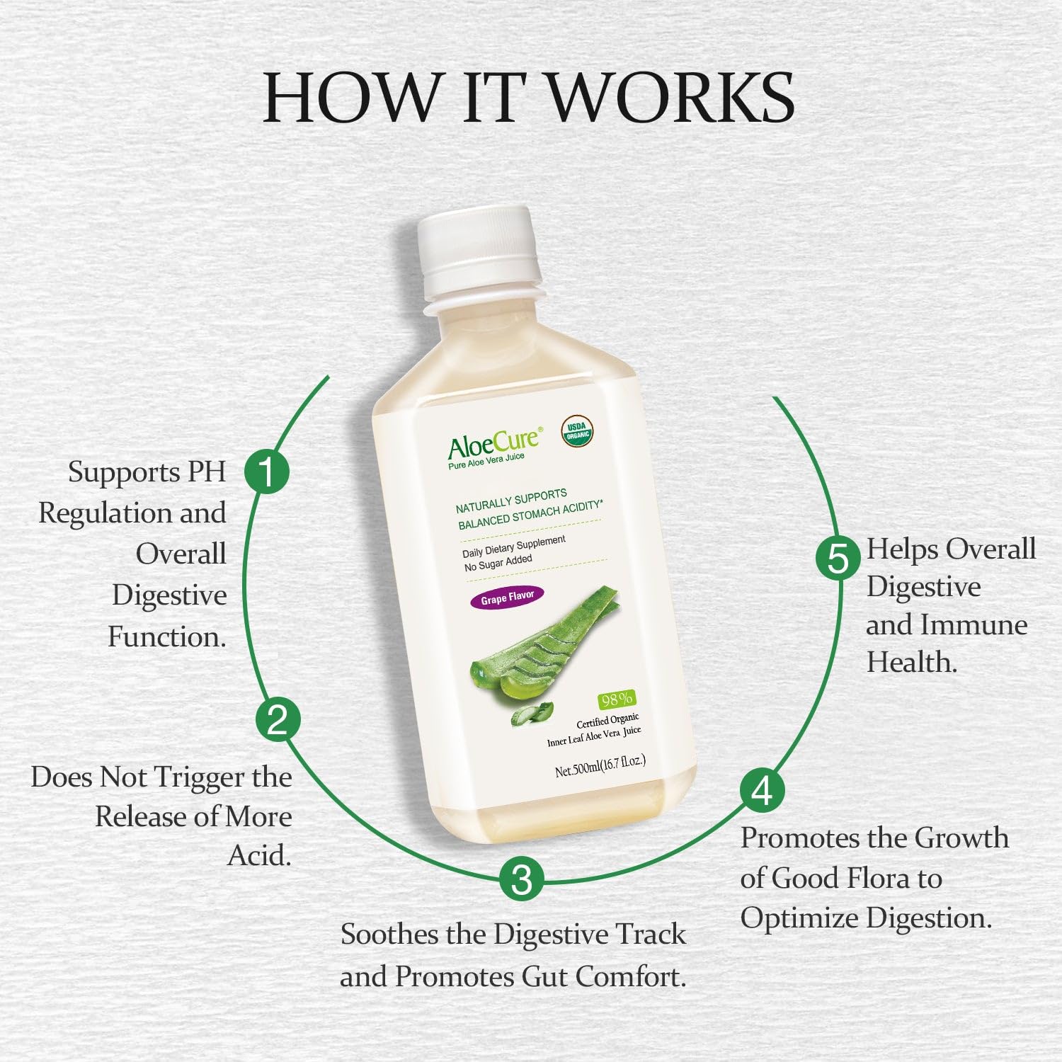 USDA Organic Aloe Vera Juice with Grape Flavor - Pure Digestive & Immune Health Supplement for Balanced Stomach Acidity | 16.7oz Bottle | Harvested & Bottled Within 12 Hours | Perfect for Daily Wellness Routine, Gut Health Support & Natural Detox