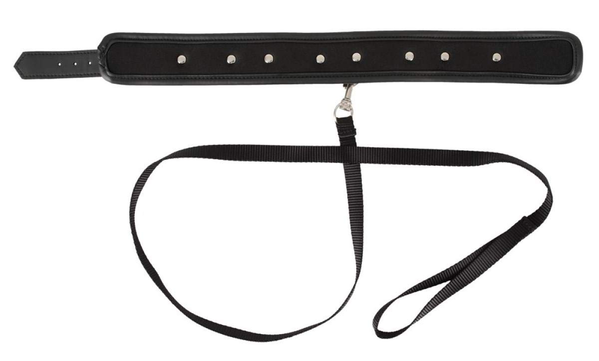 100% Vegan Dog Collar with Leash - Eco-Friendly Pet Accessories for Small & Large Dogs - Perfect for Daily Walks, Training & Outdoor Adventures