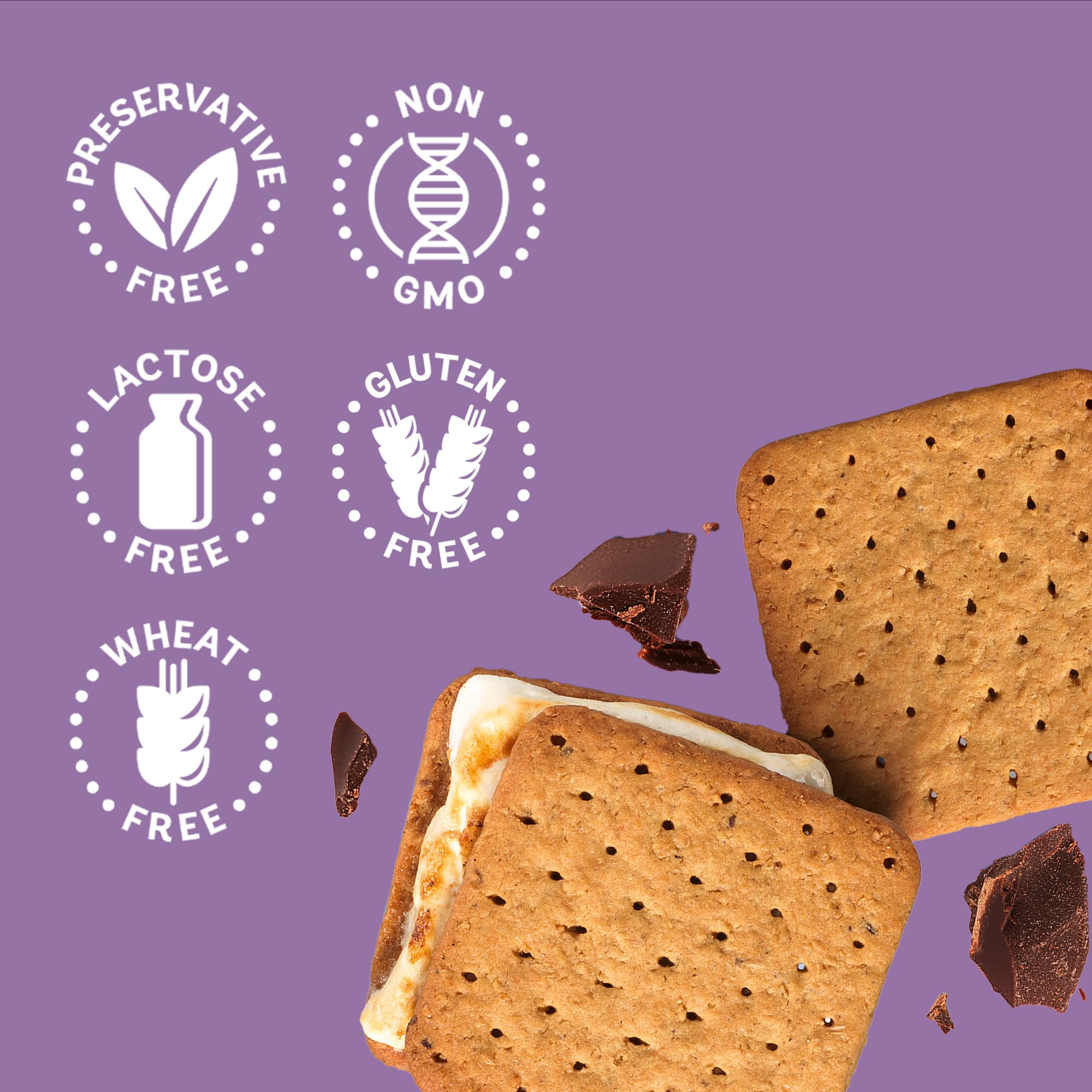 Schar Gluten-Free Honeygrams Graham Crackers - Non GMO, Lactose Free, Preservative Free, 160g (Pack of 1) | Perfect for Snacking, Baking & Celiac-Friendly Desserts