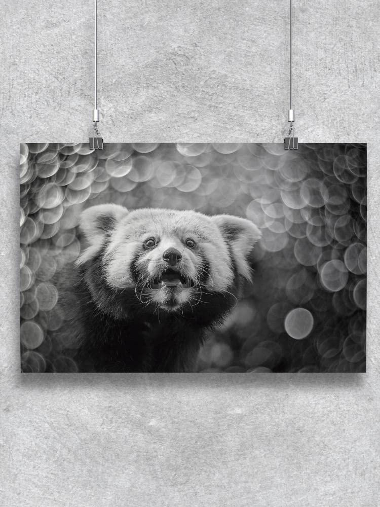 Blurry Red Panda Poster - High-Quality Wildlife Wall Art for Home & Office Decor | Perfect for Animal Lovers & Nature-Themed Spaces