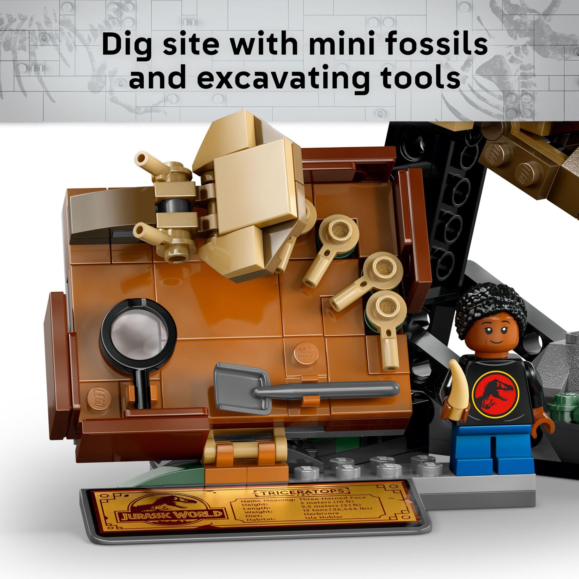 LEGO Jurassic World Triceratops Skull Dinosaur Fossil Building Set - STEM Toy for Kids Ages 9+ | Creative Model Display Kit | Perfect Birthday Gift for Boys & Girls (Set 76969) | Dinosaur Lovers & Collectors | Home Decor & Educational Play