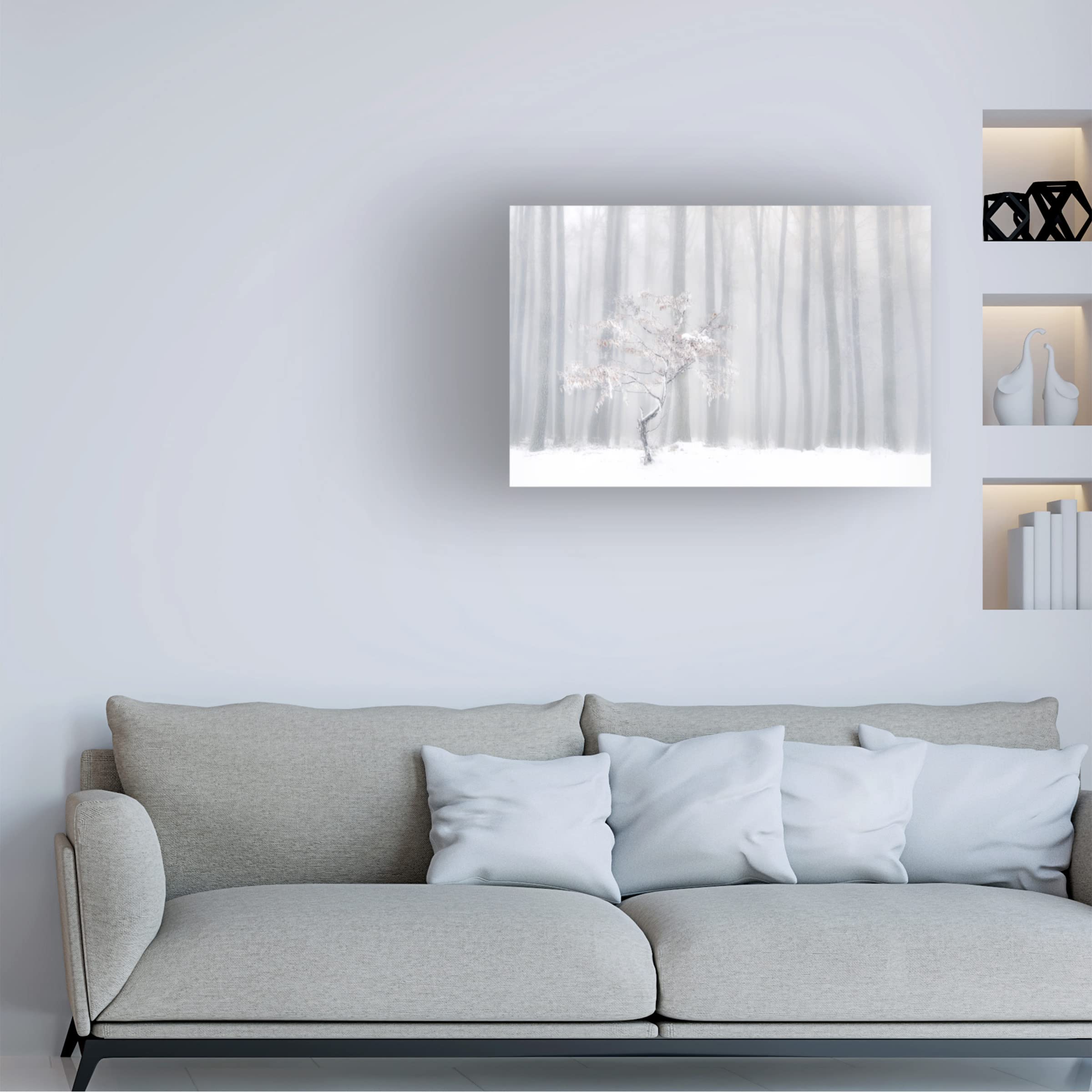 Trademark Fine Art 'In Front Of The Misty Curtain' Canvas Wall Art Print by Peter Svoboda MQEP - Perfect for Living Room, Bedroom & Office Decor