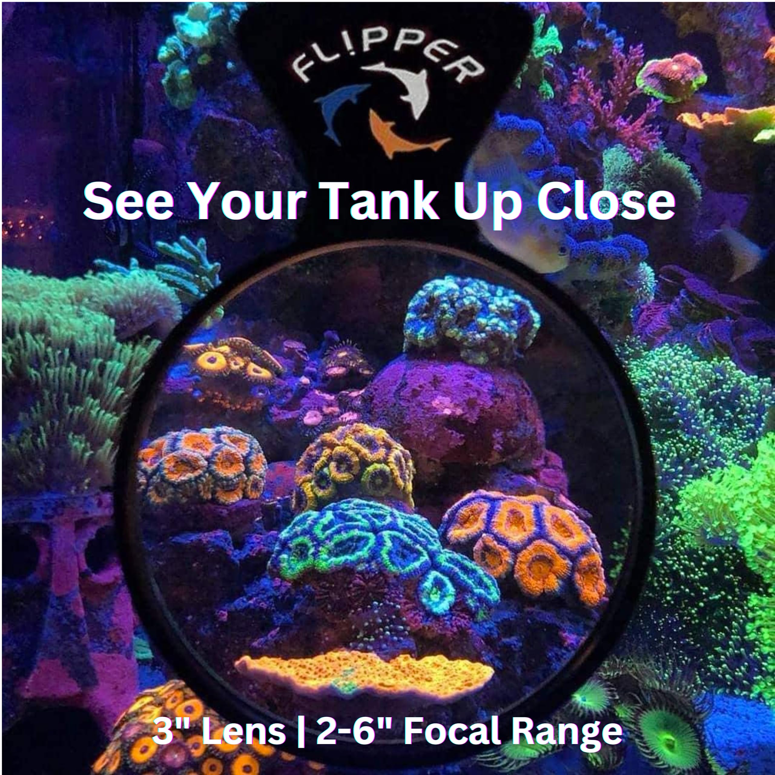 Flipper DeepSee Viewer 3