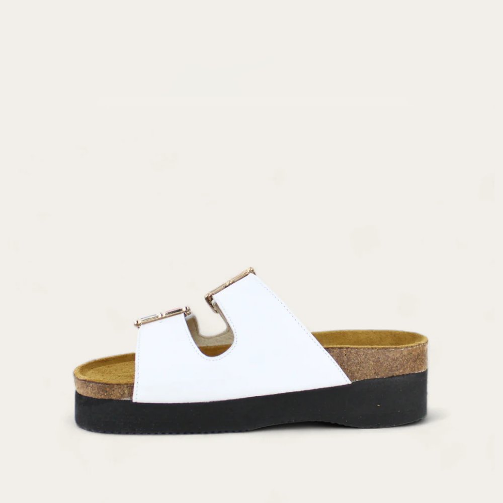Santa Rosa - Premium Quality Products for Home, Office & Gifting | US Online Store