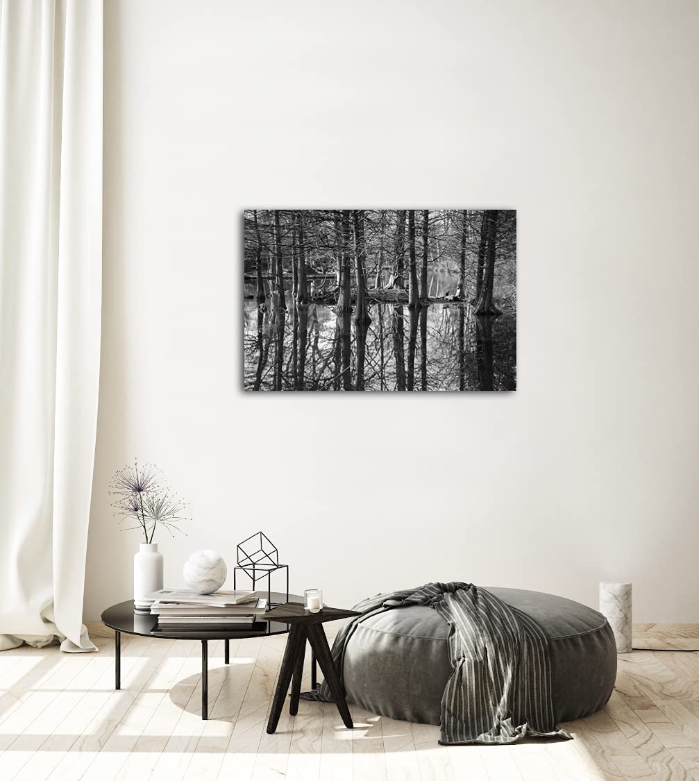 Winter Swamp Landscape Photography Canvas Art Print - 20x30 Inches, Nature Wall Decor for Living Room, Bedroom & Office - Perfect for Home & Office Interior Design