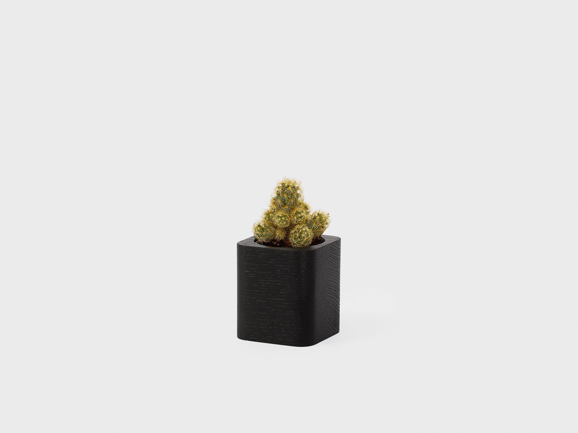 Modern Ceramic Cubic Planter Pot - Minimalist Indoor Flower Pot for Succulents, Herbs & Small Plants - Perfect for Home, Office & Garden Decor