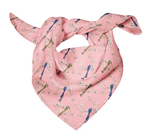 Light Pink Salmon4