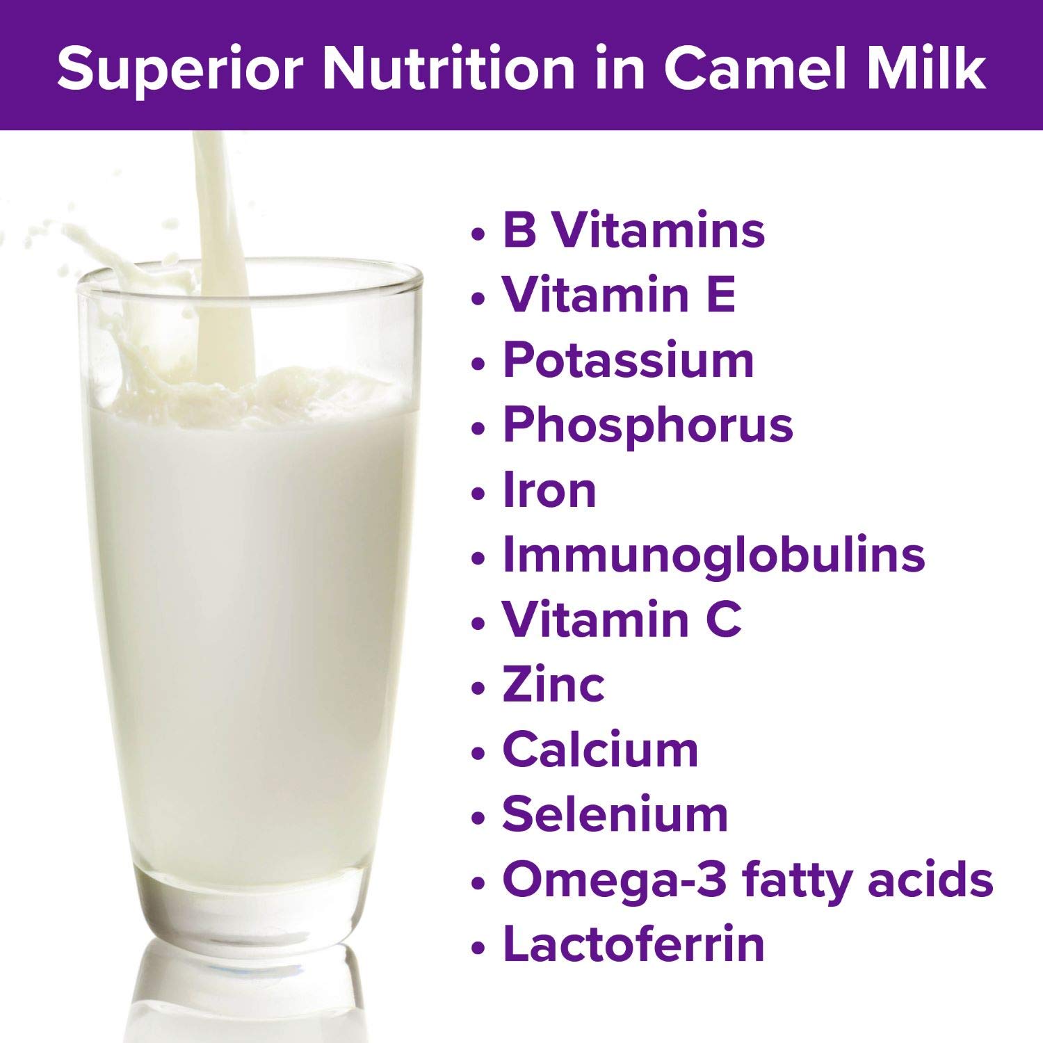 Premium Camel Milk Powder - Camelicious 480g (24x20g Packets) | Non-GMO, Gluten Free, Low Lactose | Flash Pasteurized for Longer Shelf Life | Ideal for Coffee, Smoothies & Baking | Healthy Milk Alternative