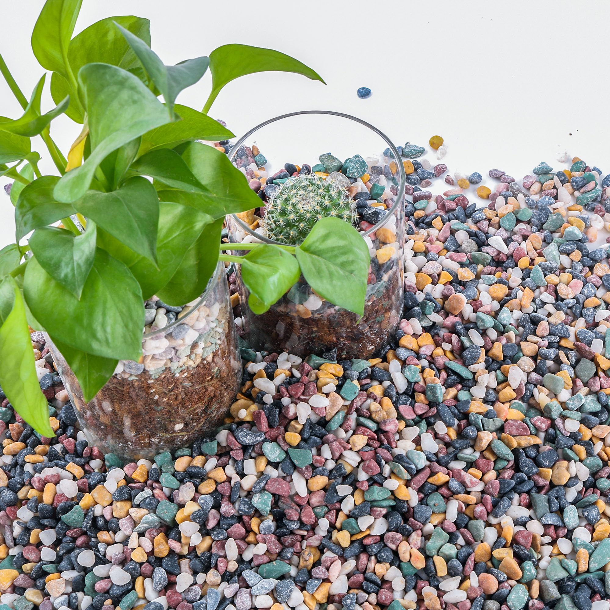 7lb Aquarium Gravel for Plants - 1/5 Inch Natural River Rocks Pebbles for Succulents, Cactus Bonsai & Fish Tank Decoration | Decorative Garden Stones for Landscaping, Terrarium, Vase Fillers & Home DIY Projects