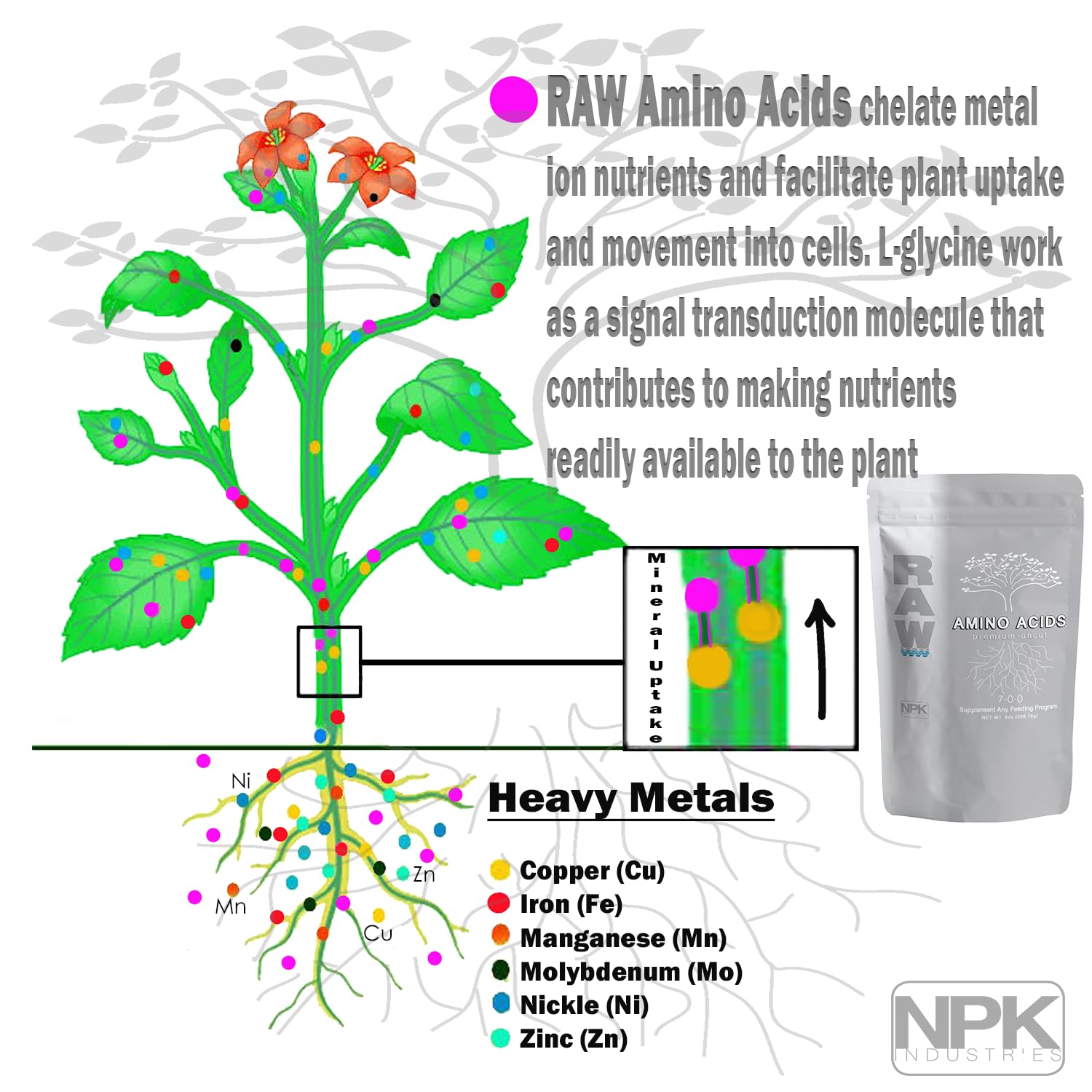 Premium RAW Amino Acids - Organic Plant Nutrient Supplement for Hydroponics, Soil & Foliar Feeding | Boosts Growth & Flowering