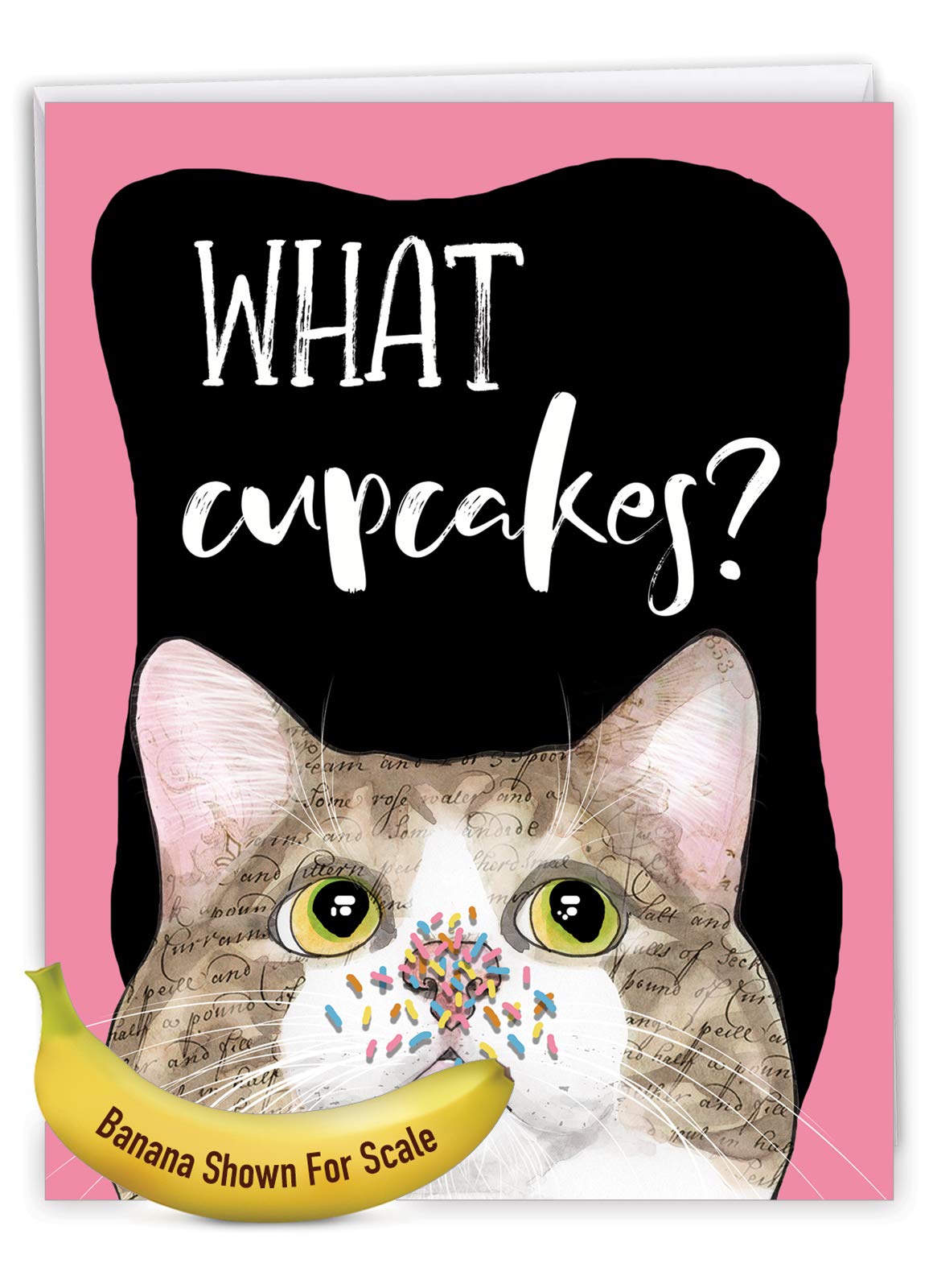 Funny Jumbo Birthday Card - 8.5 x 11 Inch Large Greeting Card with Cute Animal Humor | Cat Antics Design | Perfect for Birthday Wishes, Parties & Special Occasions
