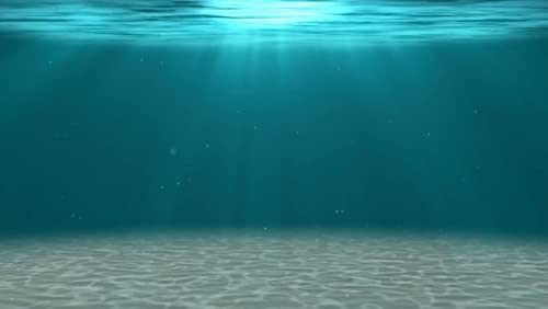 Under The Sea
