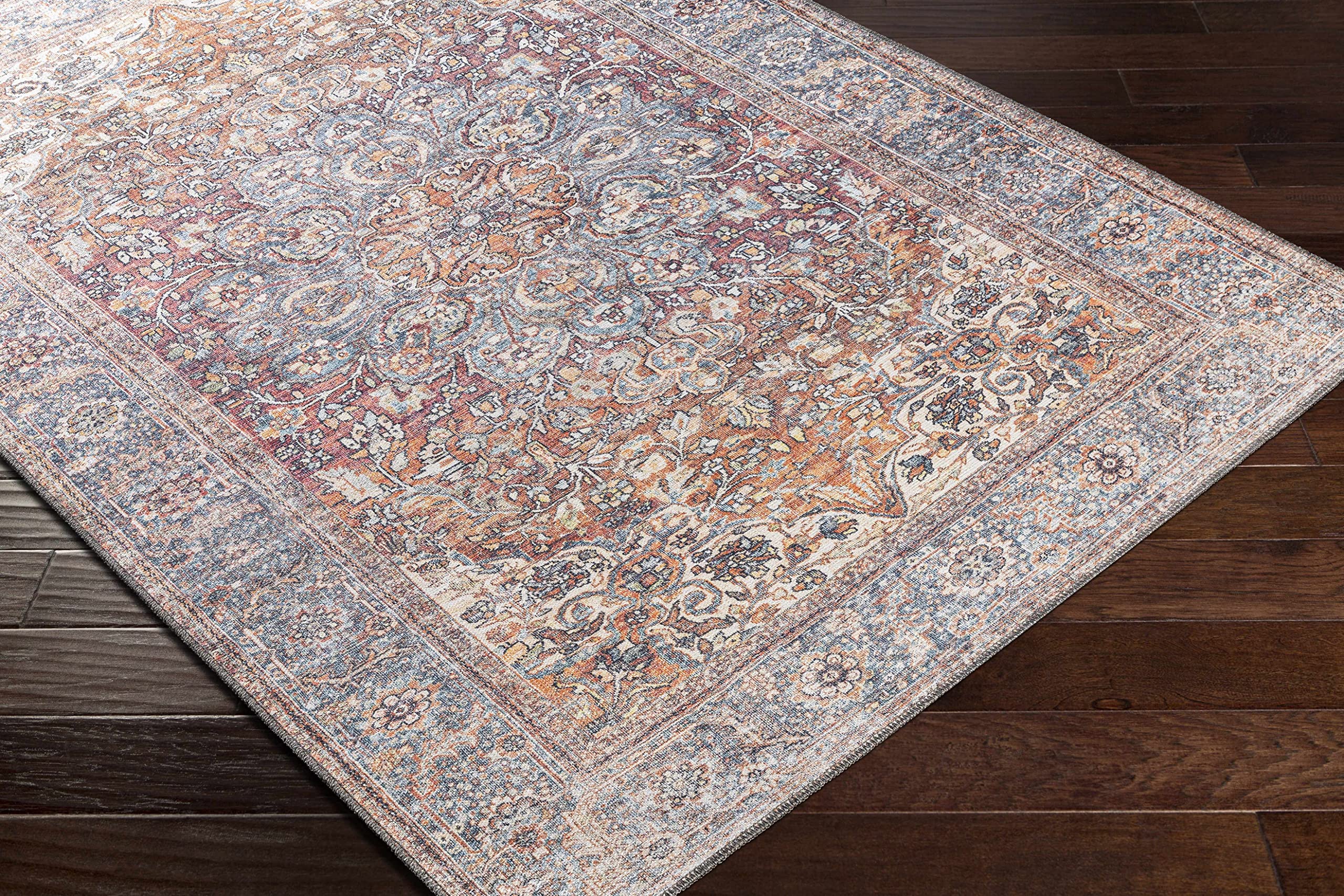 Hauteloom Gardnertown Traditional Machine Washable Area Rug - Blue, Beige, Red - 6'7