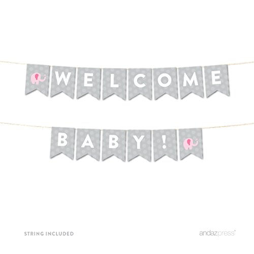 Banner Welcome Baby