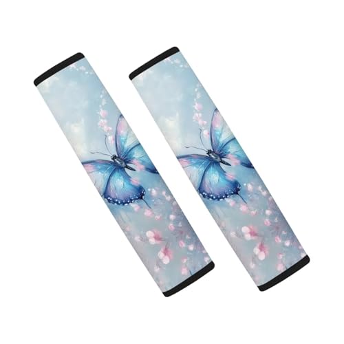 Aesthetics Butterfly