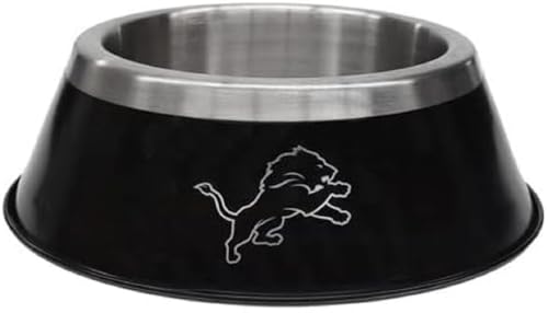 Detroit Lions