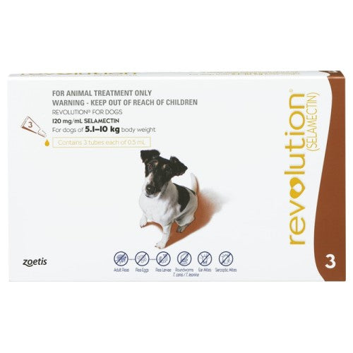 **Revolution for Dogs 5.1-10kg (Small Dogs) - Flea, Tick & Deworming Treatment | Vet-Recommended Pet Healthcare**    **Usage Scenarios:** Keep your small dog protected from fleas, ticks, and worms with this vet-approved monthly treatment—ideal for indoor and outdoor pets.