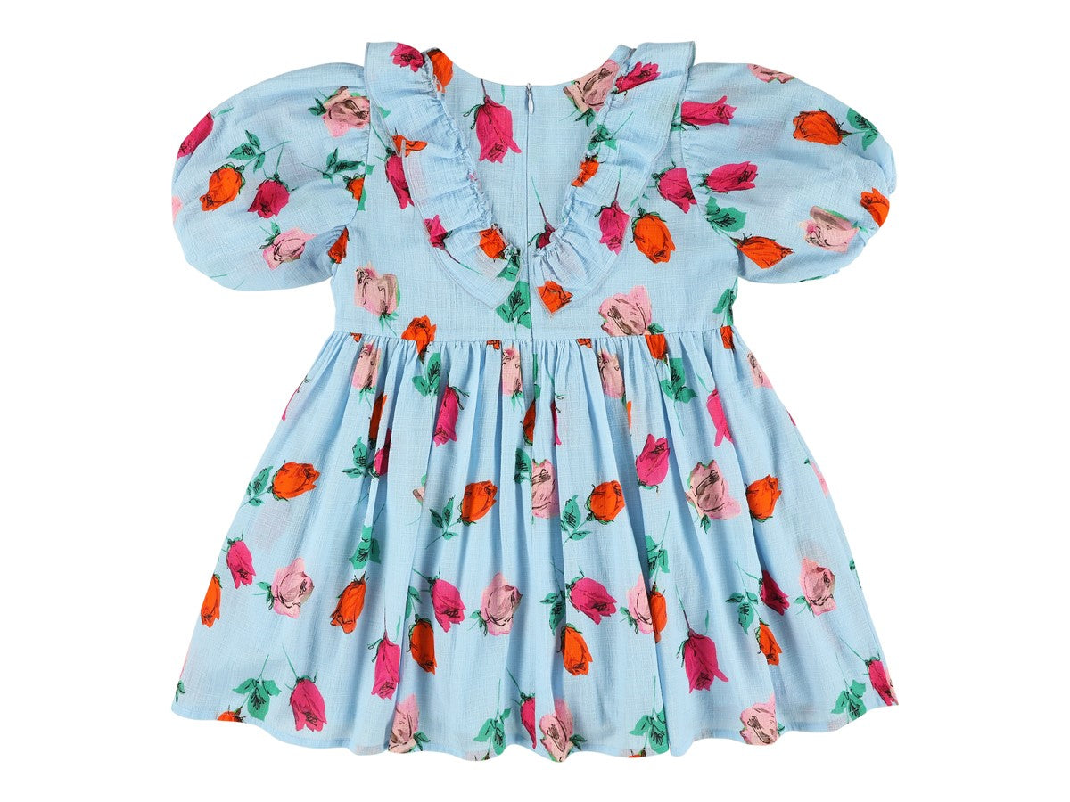 Morley Sky Blue Ruffle Chest Dress - Elegant Floral Print Women's Party Dress for Weddings, Dates & Special Occasions