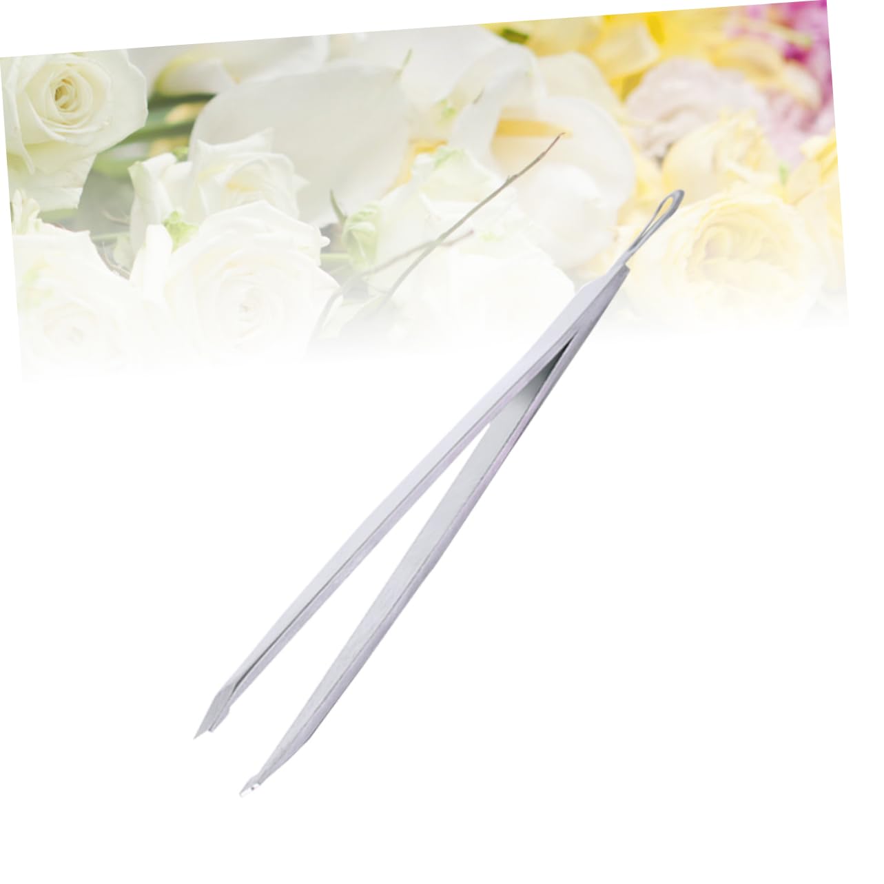 NOLITOY Stainless Steel Eyebrow & Eyelash Clip - 1pc Precision Makeup Tool for Perfect Eyebrow Shaping & False Lash Application | Ideal for Salon, Home Use & Travel Makeup Kit