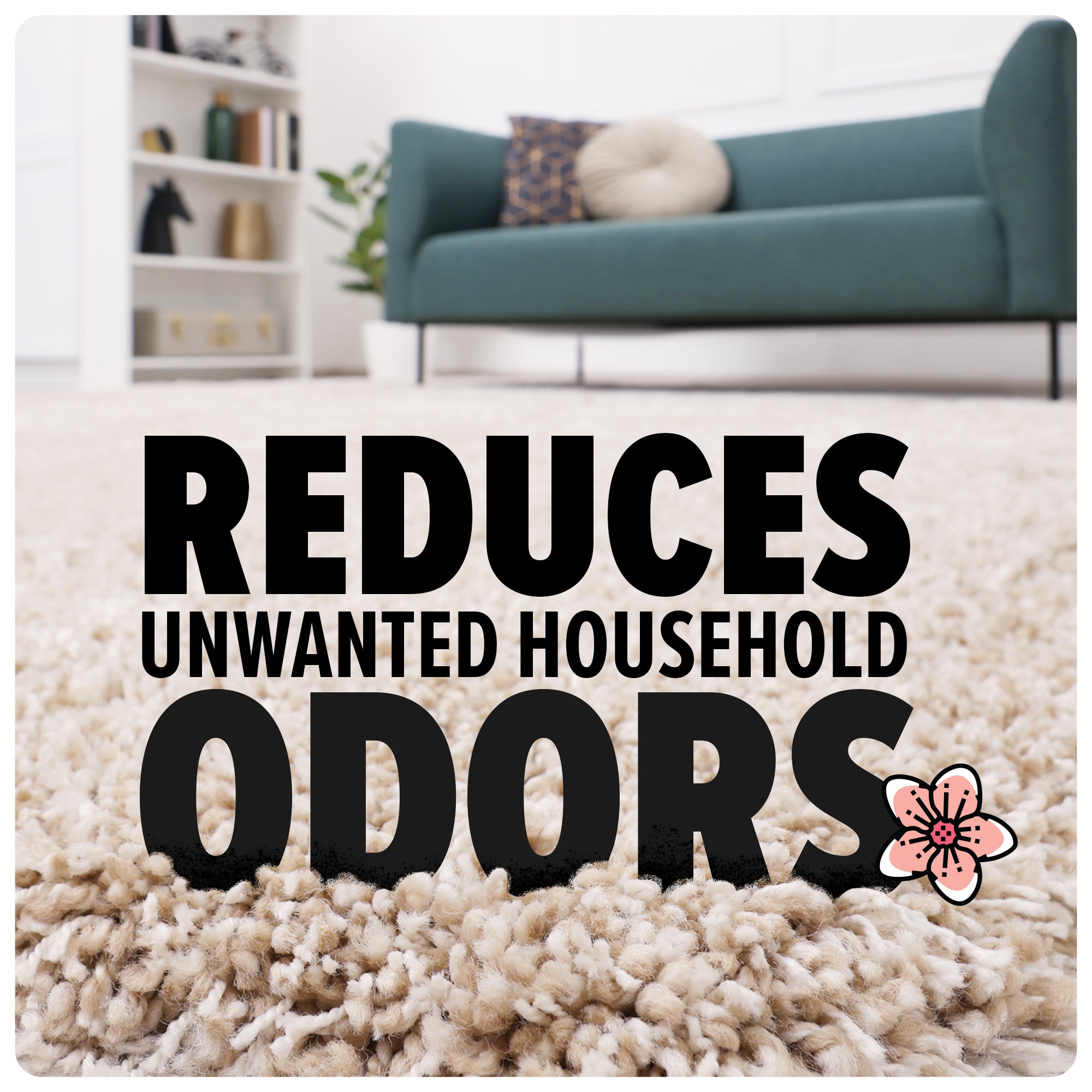 Multi-Surface Total Pet+ Stain & Odor Remover with 2 Carpet Powders - Eliminates Pet Accidents on Carpets, Upholstery & Hard Floors