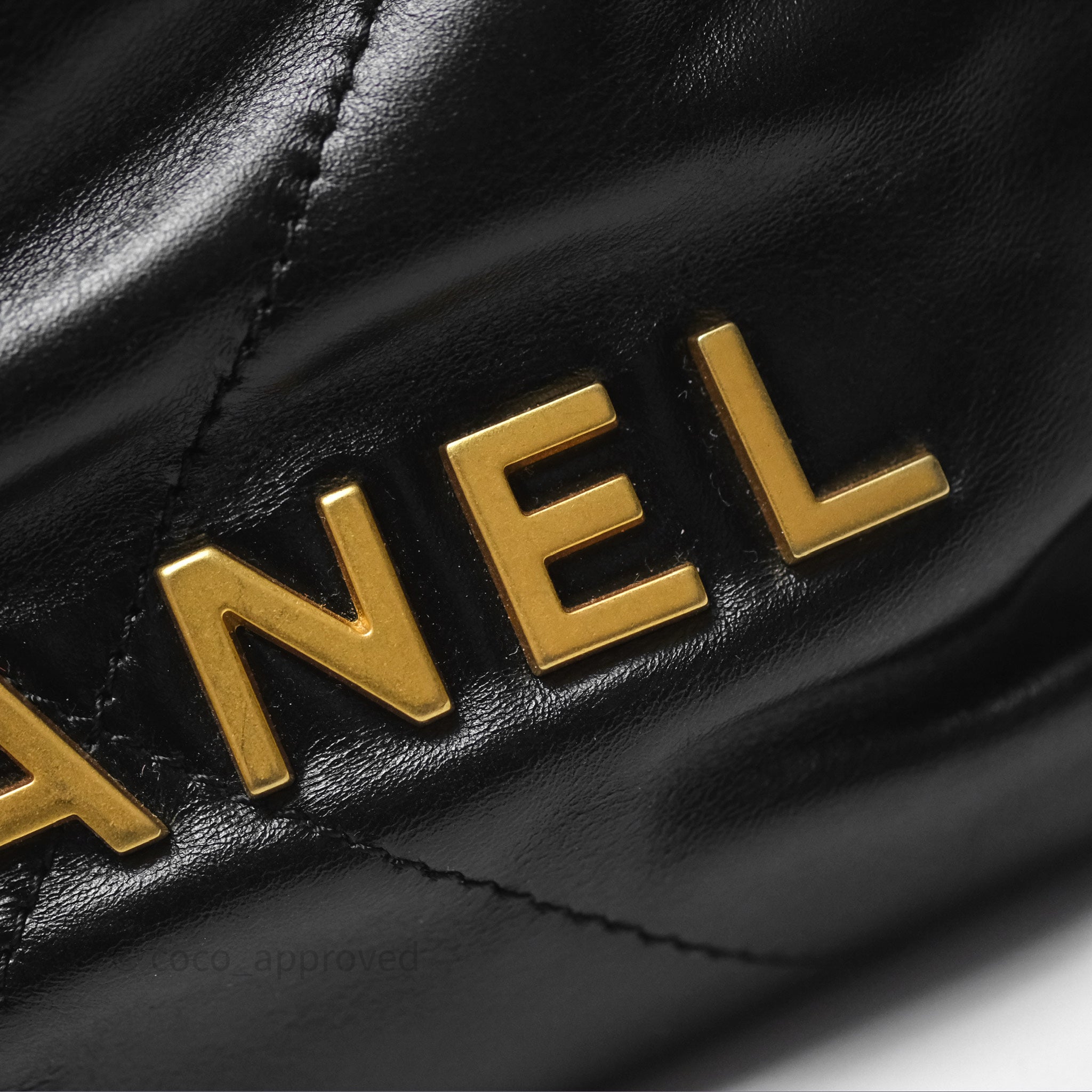 Chanel 22 Mini Bag Black Crumpled Calfskin with Aged Gold Hardware - Luxury Crossbody Purse for Women, Perfect for Date Night & Evening Events