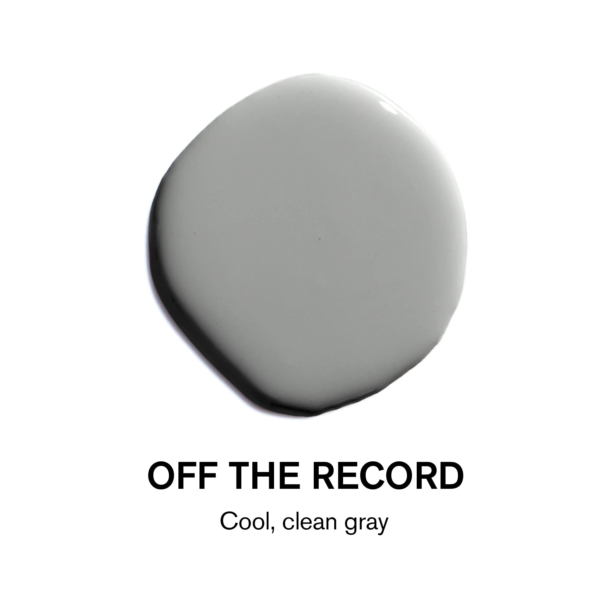 Premium Cabinet & Door Paint - Durable Washable Semi-Gloss Finish | Self-Priming Low VOC Green Wise Certified | Cool Clean Gray Backdrop Paint | 0.5 Gallon | Perfect for Kitchen Cabinets, Furniture & Home Renovation Projects