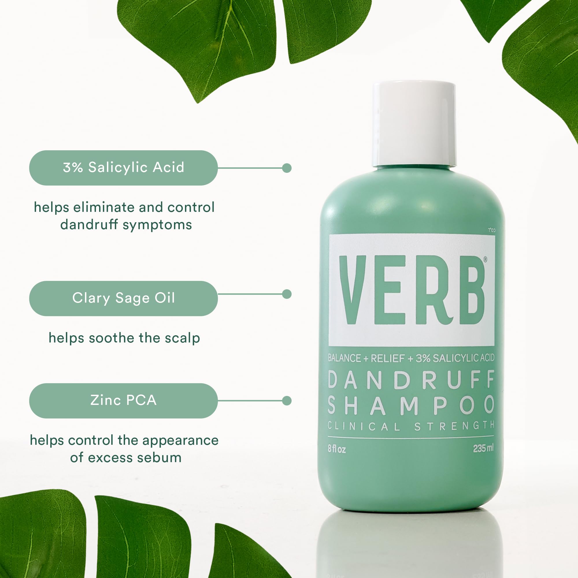 VERB Anti-Dandruff Shampoo for Scalp Care - Soothes Itchy Scalp & Flakes - Perfect for Daily Use & Sensitive Scalp