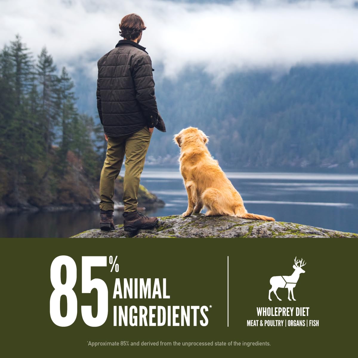 ORIJEN Tundra Grain-Free Dry Dog Food with Fresh & Raw Ingredients - 23.5lb Bag | High-Protein Kibble for Large Breed Dogs, Active Pets & Outdoor Adventures