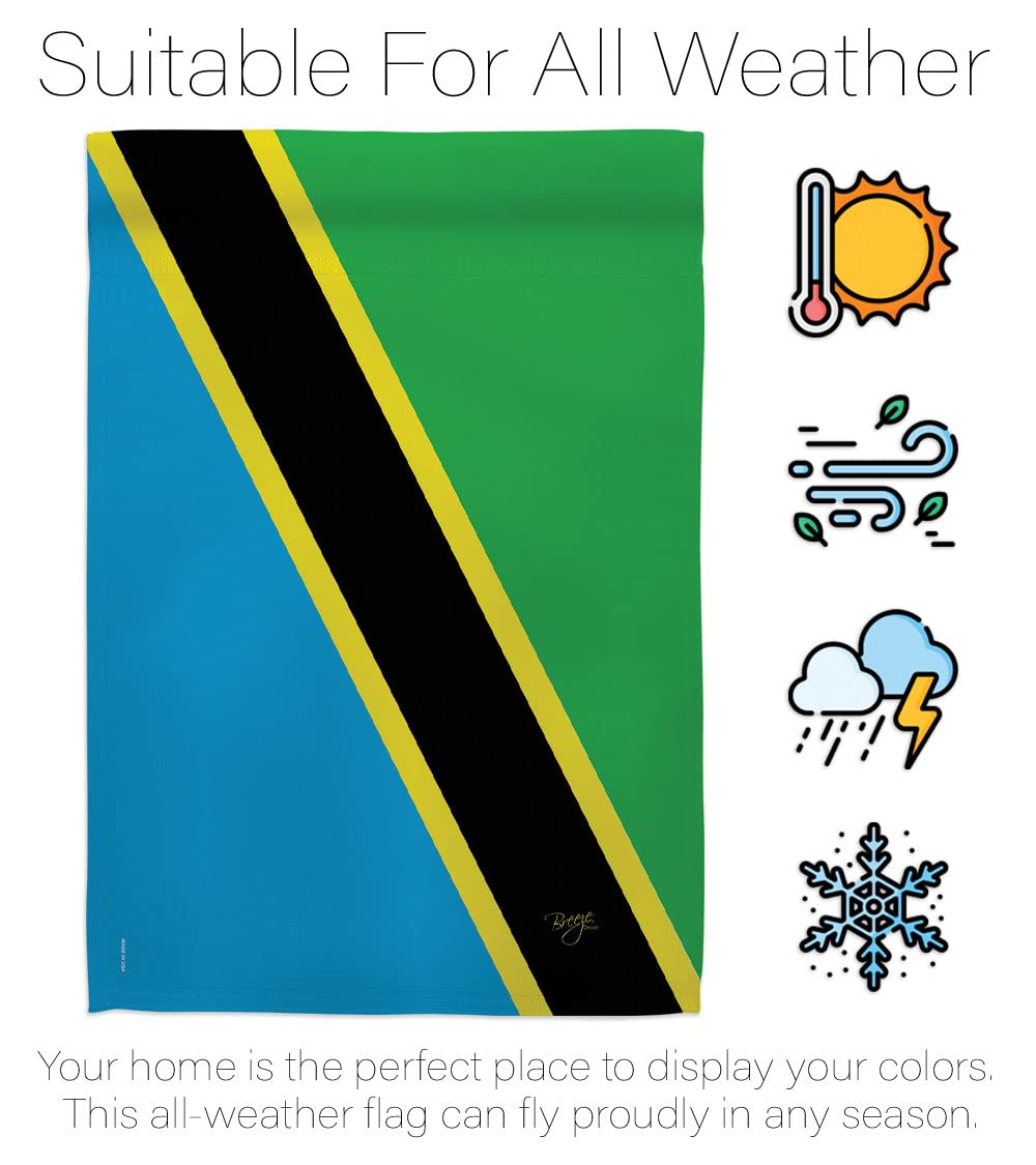Tanzania National Flag Set 28