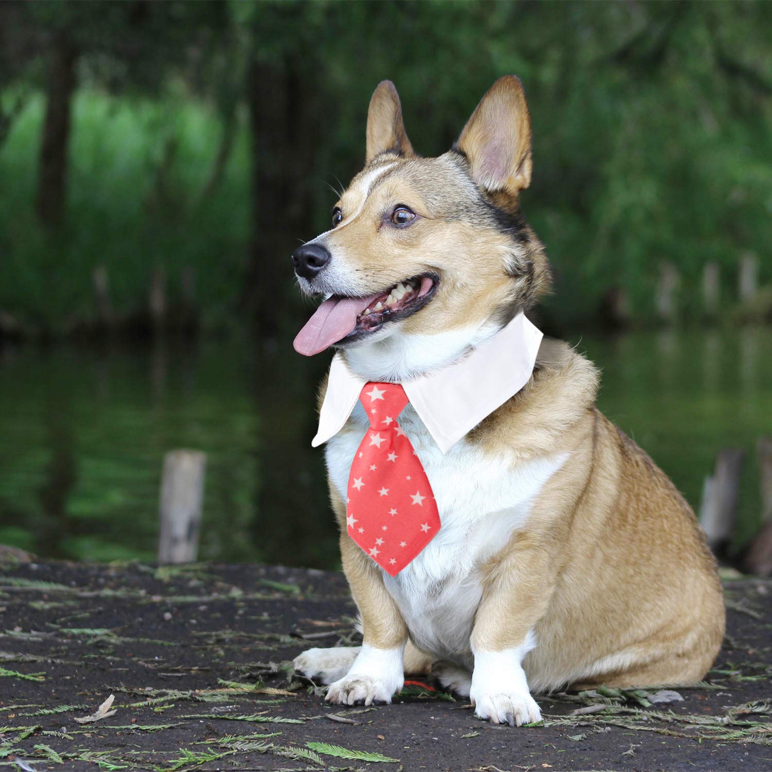 Segarty 6-Piece Adjustable Dog Neck Ties Set - Formal Striped Bow Ties for Small & Medium Dogs & Cats - Perfect for Weddings, Birthdays & Special Occasions - Ideal Pet Tuxedo Accessories for Puppy Boy Gifts