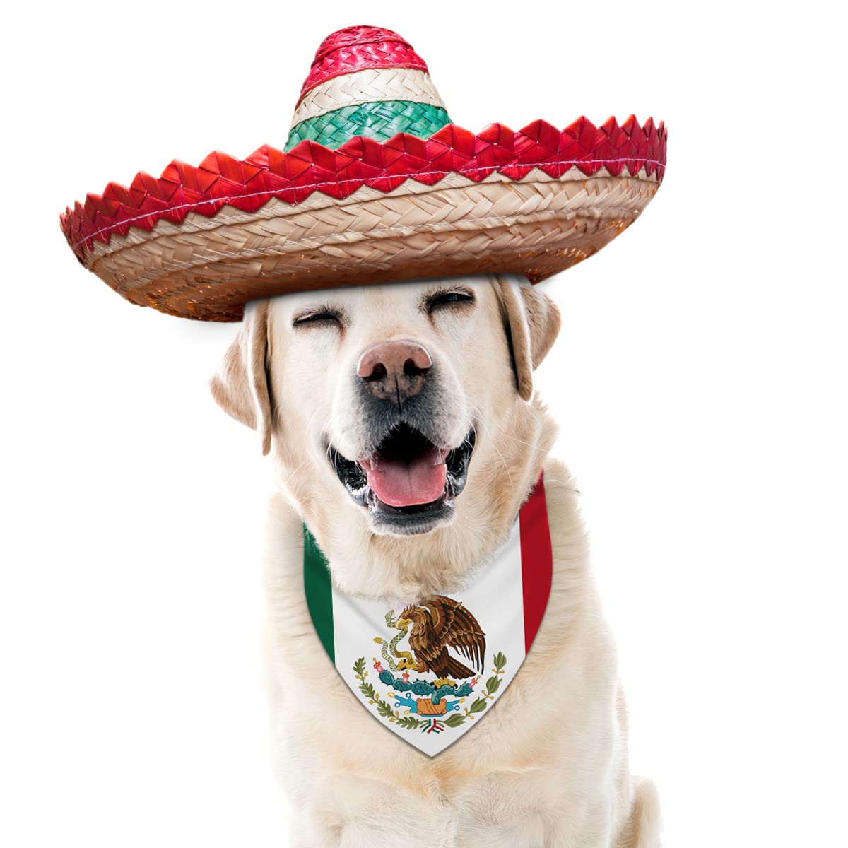 Mexican Independence Day Dog Bandana - Adjustable Triangle Bib Scarf for Small & Medium Dogs & Cats - Perfect for Pet Parties, Parades & Celebrations