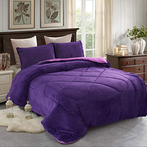 Solid Color - Purple