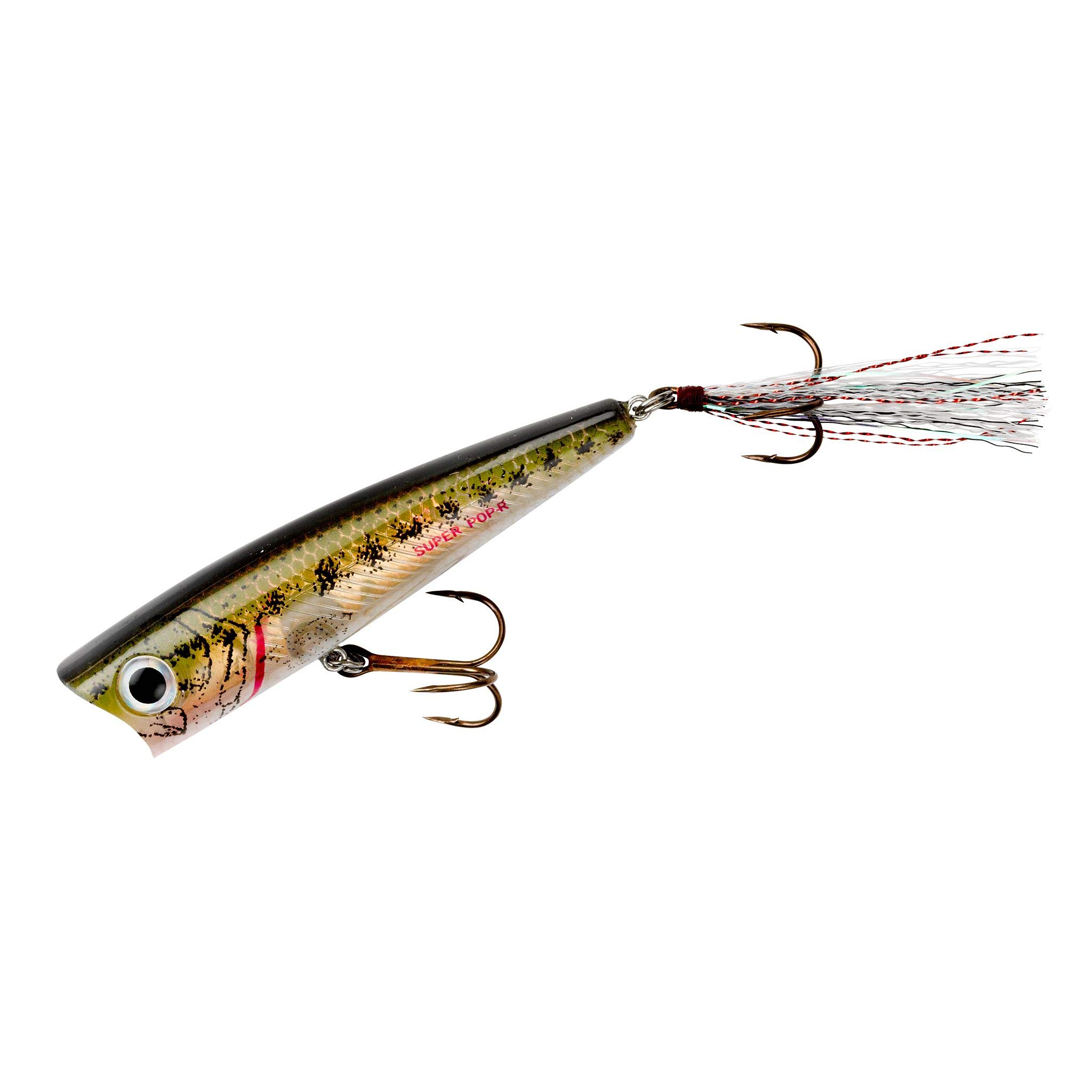 Rebel Lures Pop-R Topwater Popper Fishing Lure - Bass & Trout Bait for Freshwater & Saltwater - Perfect for Morning & Evening Fishing Trips