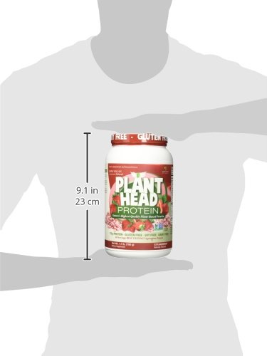 Genceutic Naturals Plant-Based Protein Powder - Vegan Strawberry Flavor, 30 Servings (1.8 lbs) | Gluten, Soy & Dairy Free, Non-GMO | Perfect for Post-Workout Recovery & Smoothies