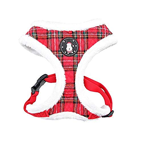 Checkered Red