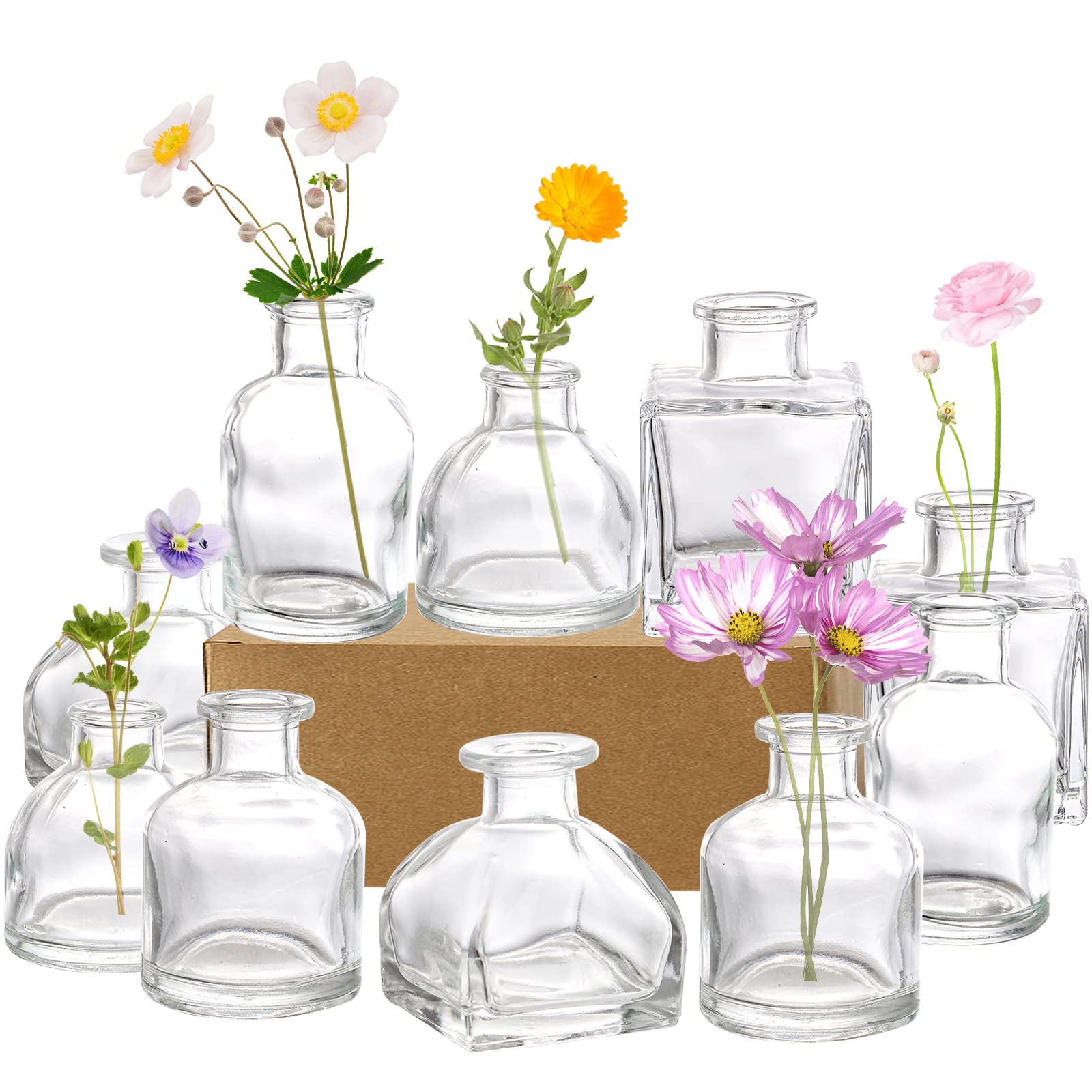 Hedume Set of 10 Small Clear Glass Flower Vases - Mini Bud Vases for Home Decor, Wedding Centerpieces, Rustic Table Decorations | Perfect for Dining Tables, Shelves, and Event Floral Arrangements