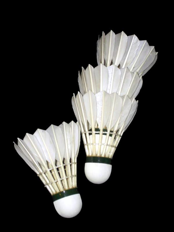 PlantaZee 10-Pack Plastic Badminton Shuttlecocks - Durable White Featherless Birdies for Outdoor & Indoor Sports, Training, and Backyard Games