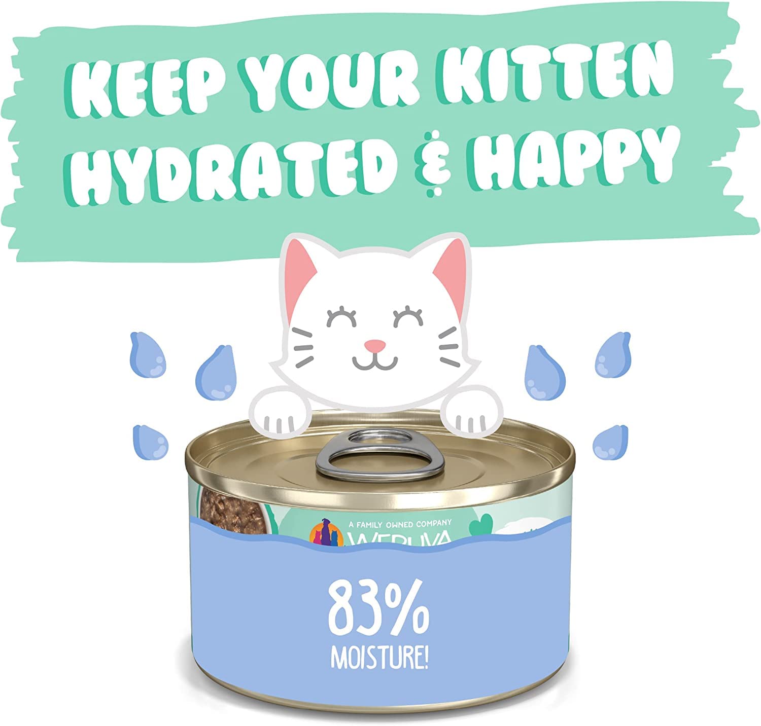 Weruva Kitten Wet Cat Food - Chicken & Tuna in Gravy, 3oz Cans (Pack of 12) | High Protein Kitten Formula for Growth & Development | Perfect for Weaning Kittens & Picky Eaters