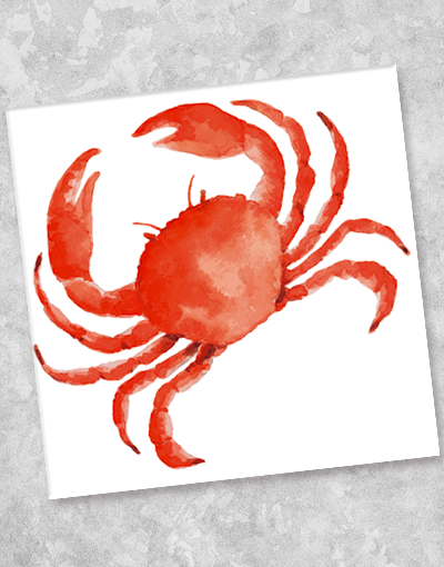 Premium Crab Walk Beverage Napkins (40 Count) - Elegant Cocktail Party, Wedding, and Dinner Table Decor - Absorbent & Stylish Paper Napkins for Drinks