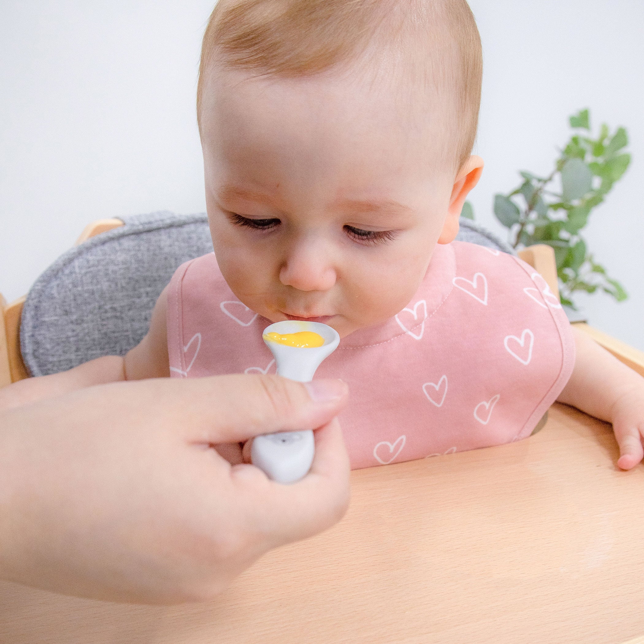 Nordic Style 2-Pack Dribble Bibs for Babies - Dusty Berry & Rose | Soft & Absorbent Drool Bibs for Teething, Feeding, and Everyday Use