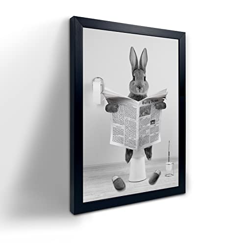 Rabbit on Toilet