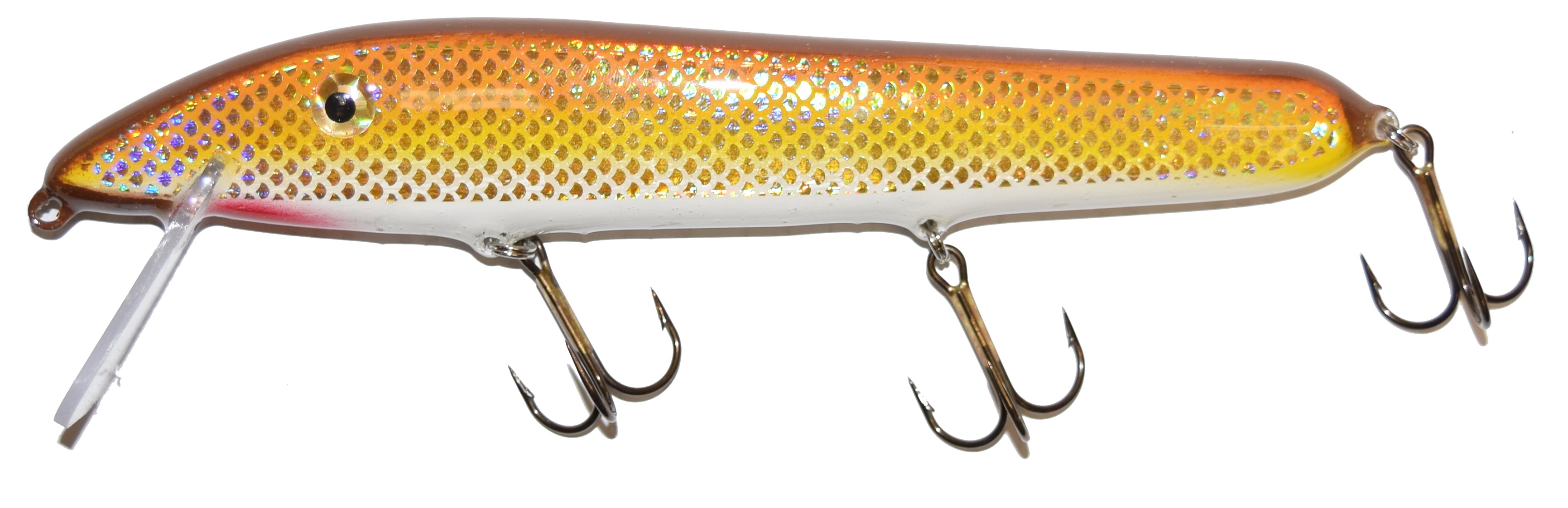 brown perch