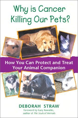 Cancer in Pets: Prevention & Treatment Guide for Your Beloved Animal Companion | Protect Your Dog or Cat from Cancer Risks