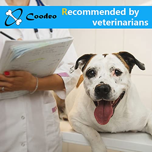 COODEO Dog Back Brace for Arthritis & IVDD - Adjustable Pet Back Support for Pain Relief, Surgical Recovery & Rehabilitation - Medium Size for Dogs - Perfect for Post-Surgery Care & Mobility Support