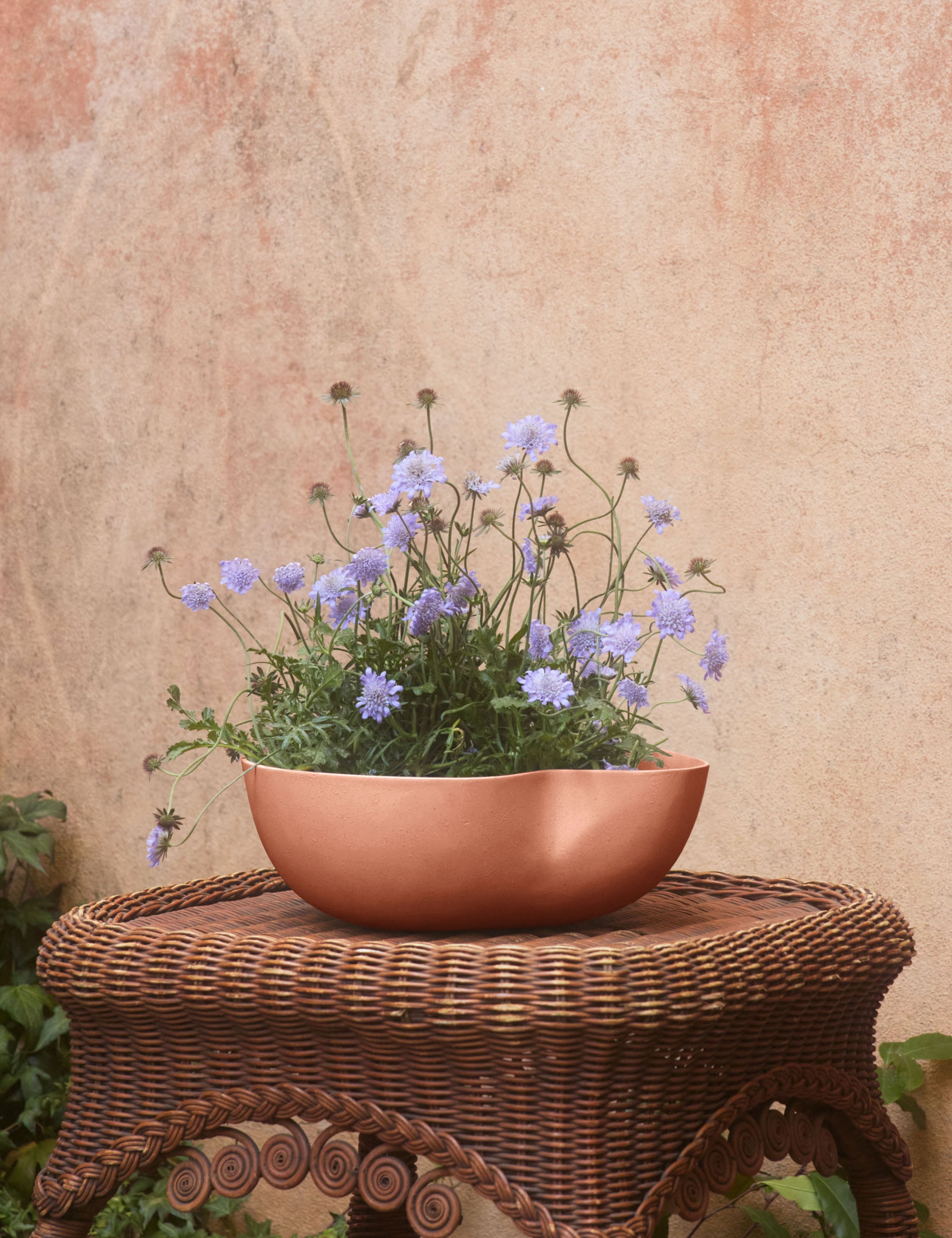 Dempsy Low Planter by Sarah Sherman Samuel - Modern Ceramic Flower Pot for Indoor Plants, Succulents & Home Decor | Perfect for Living Room, Office & Shelf Display