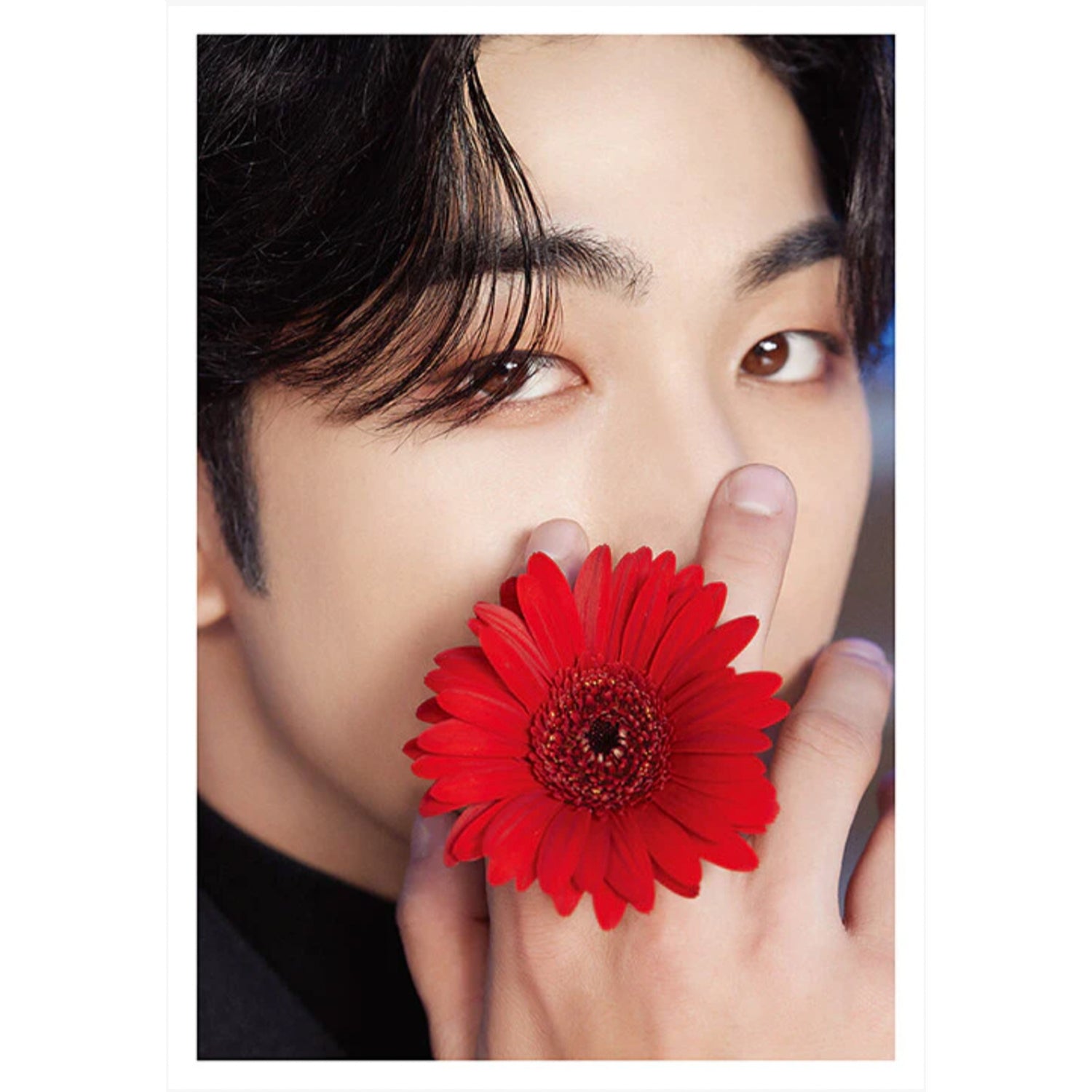 NU'EST DICON D'FESTA 'NU'EST : DISPATCH 10TH ANNIVERSARY' Photobook - K-Pop Collectible Memorabilia for Fans, Gift for NU'EST Lovers, Perfect for Display and Photo Album Collections