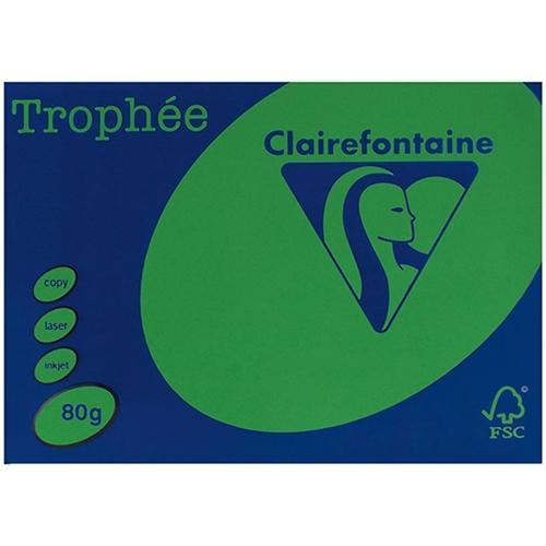 Premium A4 80gsm Trophee Bright Green Paper - 500 Sheets Pack for Office Printing, School Projects & Crafting