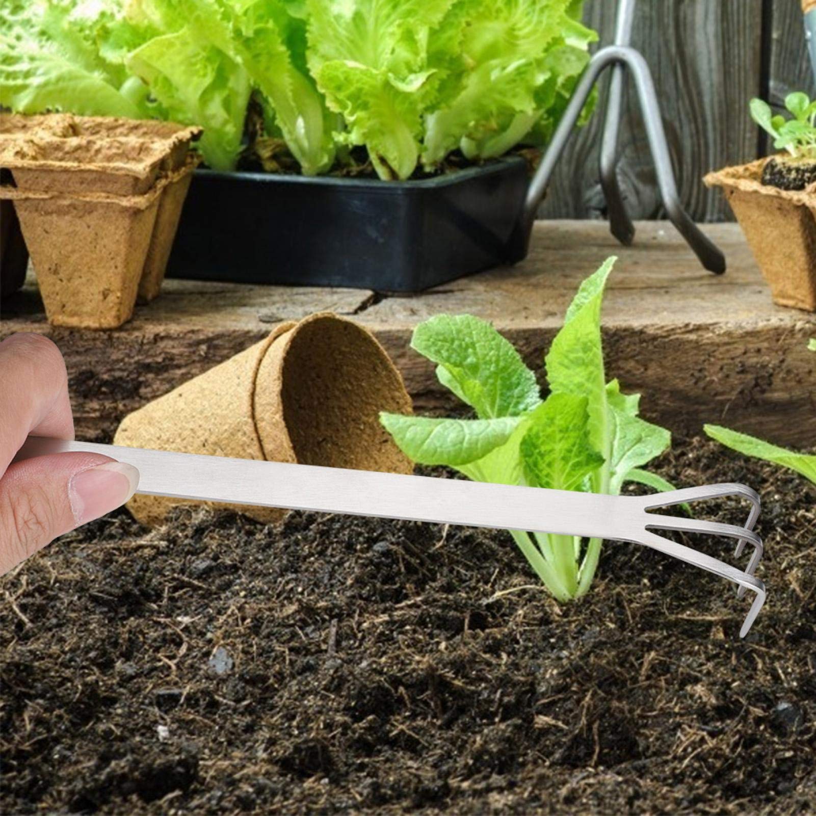 Omabeta Stainless Steel Root Rake - Premium Gardening & Bonsai Tool for Pruning, Transplanting & Soil Aeration - Ideal for Home Gardeners, Plant Enthusiasts & Bonsai Care