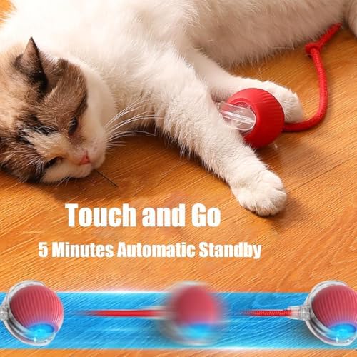 2025 Upgraded Interactive Rolling Cat Toy Ball - 360° Smart Automatic Self-Rolling Pet Toy for Cats & Dogs | Electric Moving Ball for Indoor Kittens & Puppies | Perfect for Playtime, Exercise & Boredom Relief